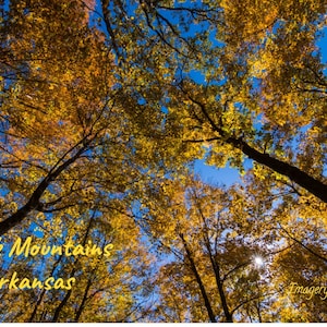Cave Mountain Photo Postcard Camp Area Autumn Ozark Mountains Arkansas Ozarks Post Card ImageryByDenaC
