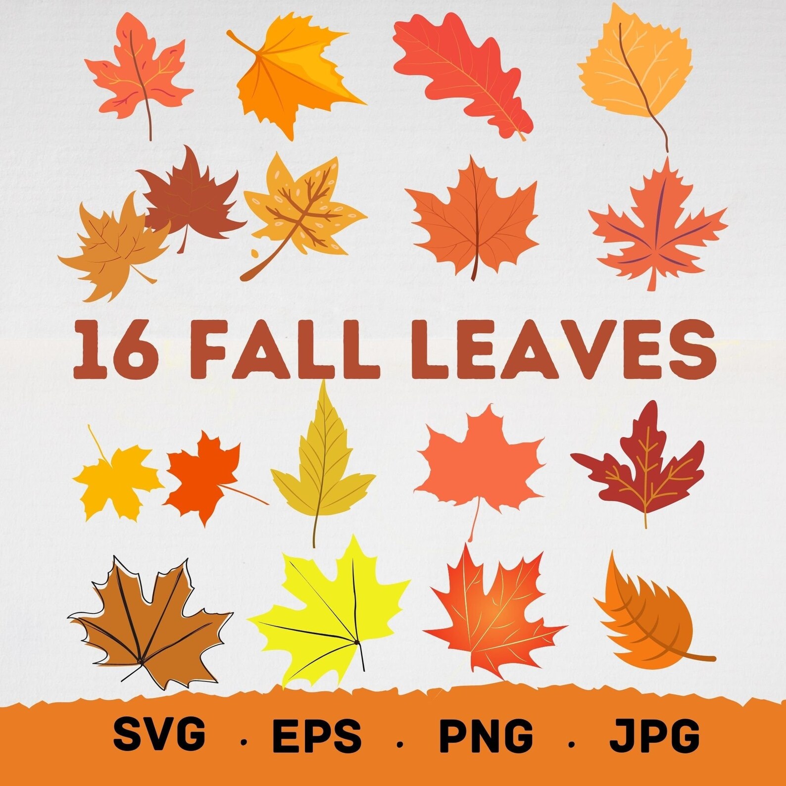 Fall Leaves Svg Fall Svg Fall Leaf Svg Bundle Fall Png Cut - Etsy