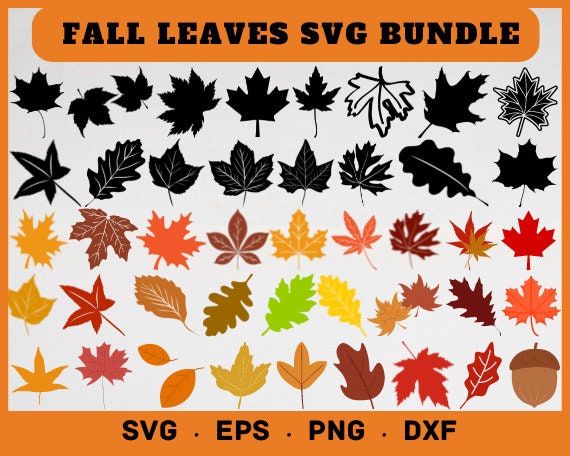 Fall Leaves Svg Fall Leaves Svg Fall Leaf Svg Fall Leaves - Etsy UK