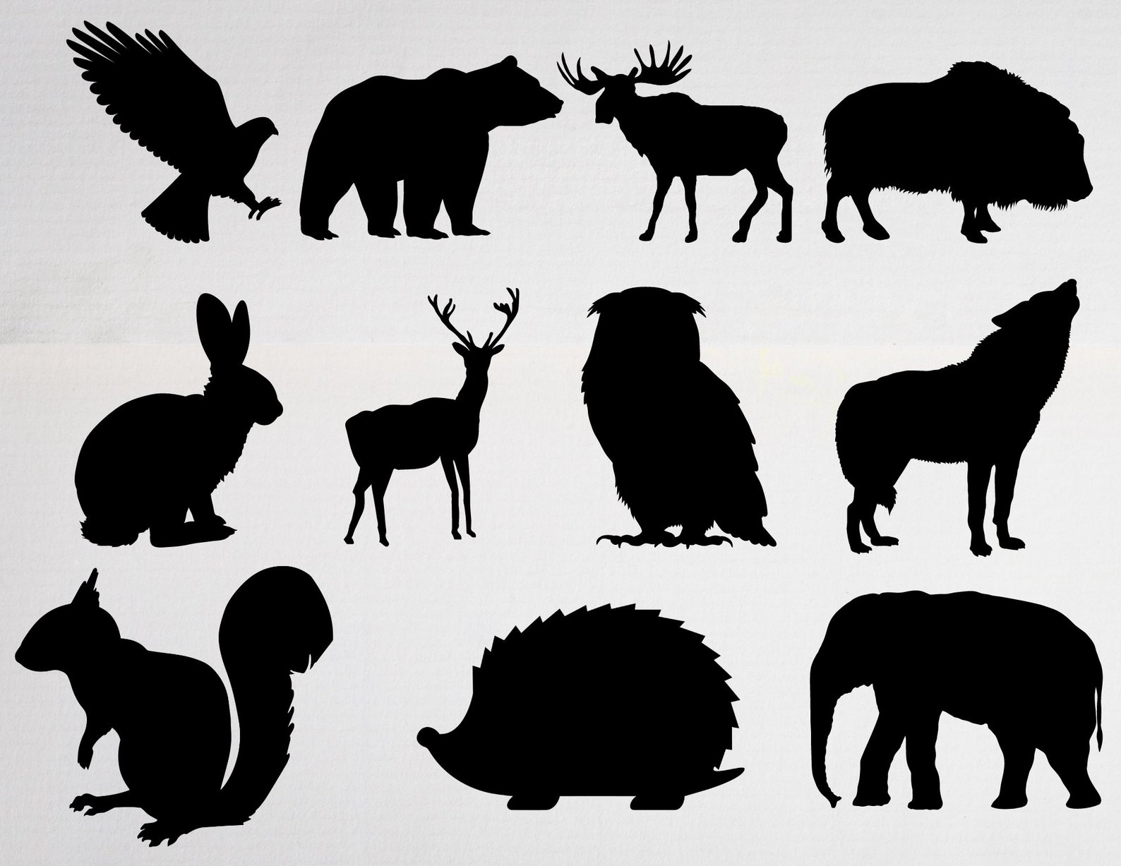 Woodland Animals Svg Forest Animals Svg Animal Silhouette - Etsy
