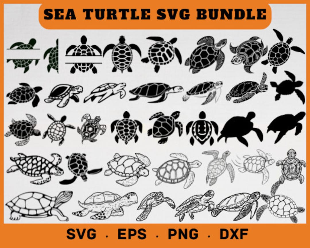 Turtle SVG, Sea Turtle Svg, Png, Cricut, Ocean Turtle Svg, Turtle