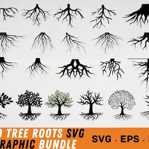 Tree Roots SVG File for Cricut, Bundle Collection of Roots, Vector files for plasma,Roots SVG, Roots silhouette svg, Tree with roots svg PNG