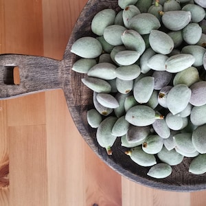 Färska gröna mandlar (Çağla) – Begränsad vårskörd, råa unga mandlar