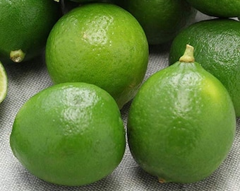 Natürliche, Bio Key Lime Fruit, frische Key Lime, Citrus aurantifolia, 3 Stück - KOSTENLOSER VERSAND