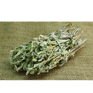 Organic Grey green colour sage leaves  , Herbal Tea ,Smudge Bundle ,Smudge stick,Sage wand ,House Blessings,Energy cleaning ,Meditation