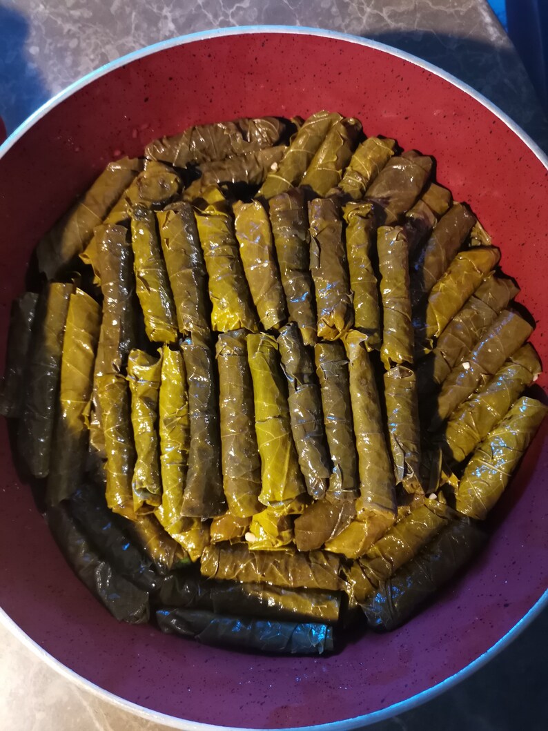 Brined Vine Leaf pickled Leaf Grape Leaves stuffed Vine Etsy