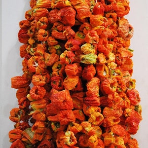 Organic Sun Dried Red Peppers: Turkish Dolma Peppers (25 Pieces)