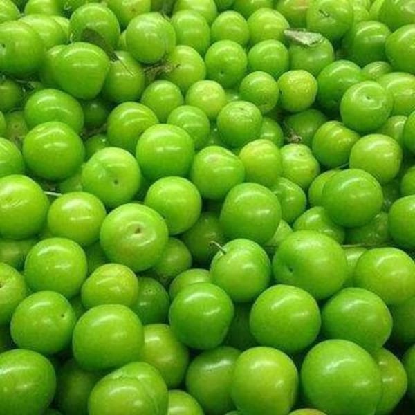 Bestseller: Frische grüne Pflaumen, grüne Pflaumenfrüchte, Greengage, neue Ernte, Snacks, saisonal – SCHNELLER & KOSTENLOSER VERSAND