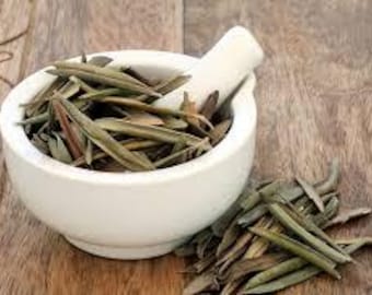 Dried Organic  Olive Leaf,Olive Leaf Whole,Olive Leaf Tea,Loose Leaf,Herbal Tea,Dried Leaves,Bulk Herbs,Caffeine Free,Wedding Toss–FREE SHPM