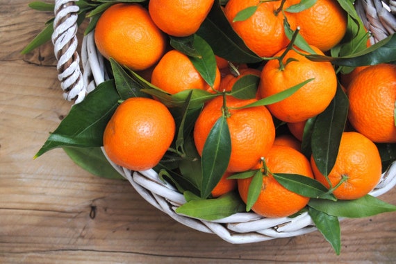 Organic Mandarin Oranges - Automatic Bi-Weekly Delivery - Massa Organics