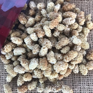 Organic sun dried white mulberries,vegan,gluten free,new crops-FREE SHIPPING-200 gr