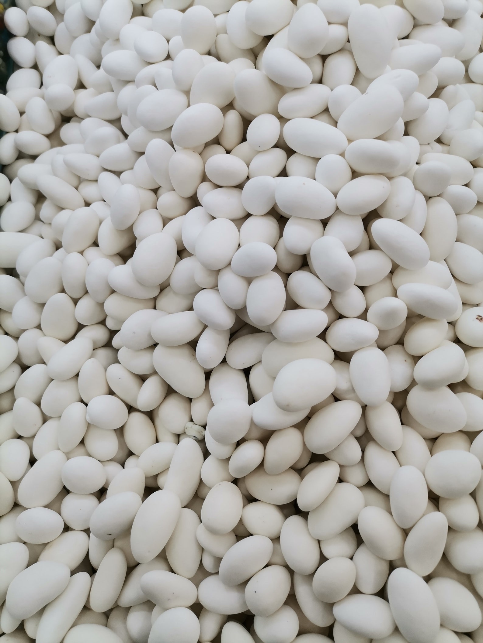 Almond Candycandied Almonds Sugar Coated Almonds bomboniera Etsy