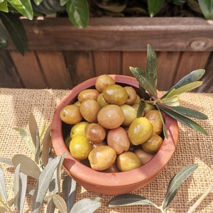 Olives vertes concassées biologiques,Naturel,Snacks méditerranéens,Cuisine turque,Olives marinées,Mode de vie sain,Apéritif,400 gr–LIVRAISON GRATUITE