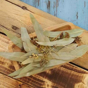 Op de afbeelding: Een houten dienblad gevuld met gedroogde eucalyptusbladeren en kleine bruine zaaddozen.