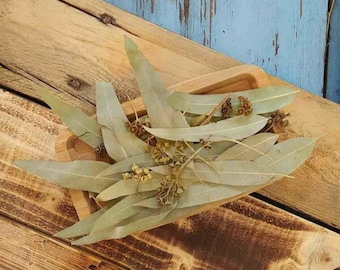 Organic Eucalyptus Dried Leaves: Herbal Tea, Potpourri, Sachets