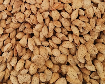 Biologische ongepelde amandelen: rauwe Turkse badaam-snack (200 gr)
