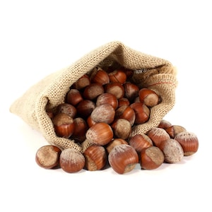 Organic Premium Quality Hazelnut With Shell,Unshelled Hazelnut,Turkish Hazelnut,Hazelnut In Shell,Healthy Vegan Snack 200gr-FREE SHIPPING
