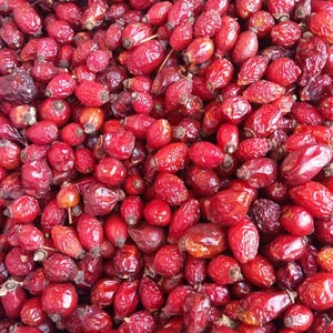 Rose hips,Rosa Canina fruit,Dried Rose Hips,Rose Haw,Rose Hep,Rose Hip Tea,Herbal Vitamin Tea,Organic Tea,Vegan Tea, Berries-FREE SHIPPING