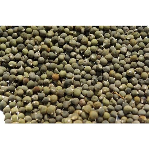Bio-Okra Samen: Abelmoschus Esculentus, koffeinfreier Kaffeeersatz - Etsy  sterreich