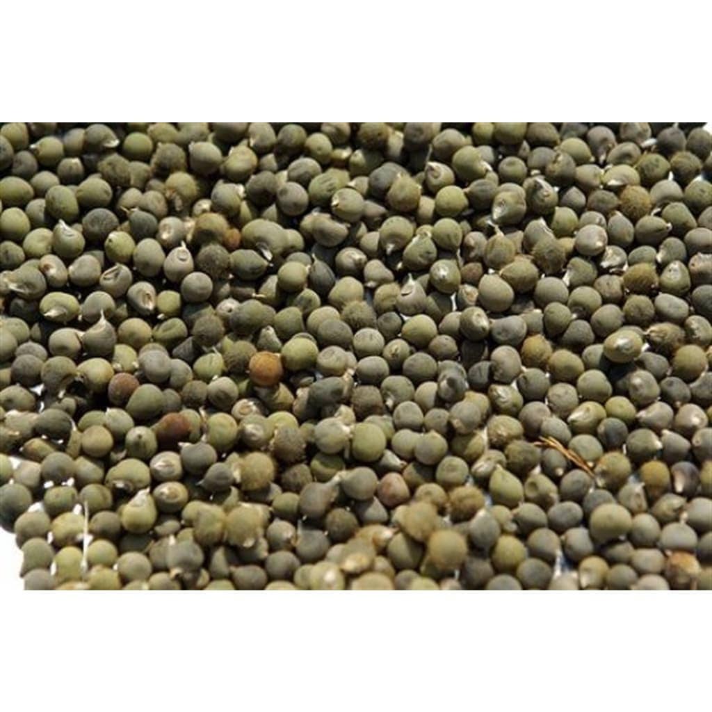 Organic Okra Seedabelmoschus Esculentus Seeddried Etsy