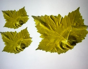 Brined vine leaf ,Pickled leaf , Grape Leaves ,Stuffed vine leaves -FREE SHIPPING