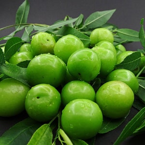 Bestseller biologische groene pruim, groene pruim, pruim, greengage, generik, janerik, nieuw gewas, vers, snack, seizoensgebonden, 400 gr. SNELLE EN GRATIS VERZENDING