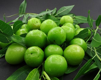 Bestseller biologische groene pruim, groene pruim, pruim, greengage, generik, janerik, nieuw gewas, vers, snack, seizoensgebonden, 400 gr. SNELLE EN GRATIS VERZENDING