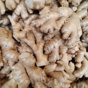 Ginger Roots  , Ginger Powder ,Ground Ginger , Ginger herb tea ,Rhizomes ,Zingiber  officinale,Organic,Natural,Gluten free -FREE SHIPPING