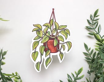 Pothos Sticker | Plant Sticker | Waterproof Sticker