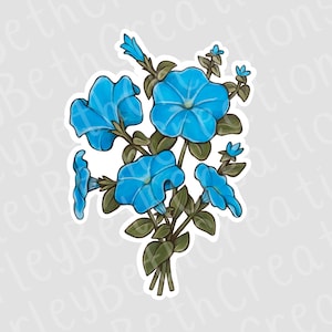 Morning Glory Sticker | Waterproof Sticker | Flower Sticker