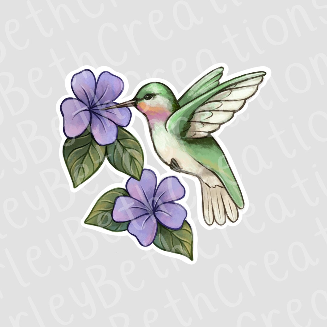 Hummingbird Sticker | Flower Sticker - Etsy