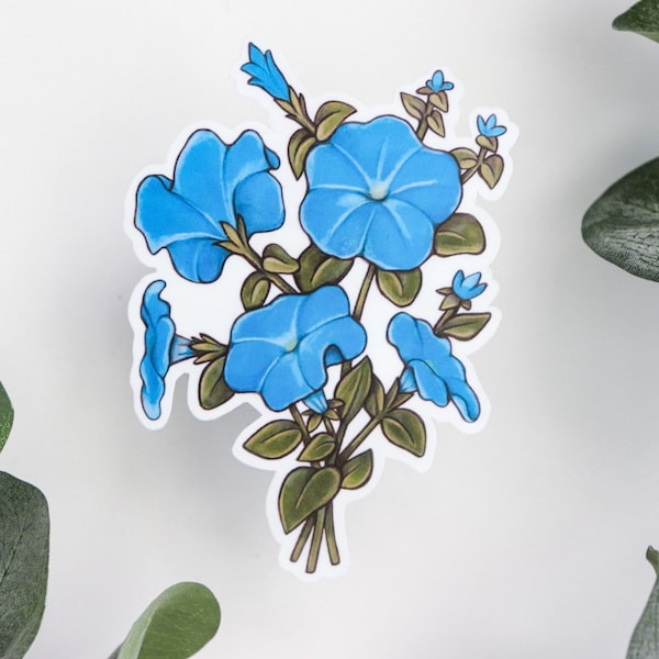 Morning Glory Sticker | Waterproof Sticker | Flower Sticker