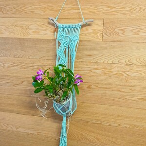 Macrame Plant Hanger, Air Plant Holder, Macrame Wall Hanger, Macramé Plant Hanger, Mini Macrame Hanger, Driftwood Plant Hanger, Wall Decor