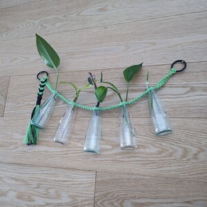 MICA Hängende Reagenzglas-Vermehrungsstation, Makramee-Vermehrungslinie, Hydroponischer Hängepflanzer, Makramee-Vermehrungsstation, Wanddekoration