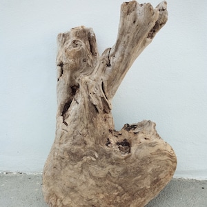 Raw 1 Driftwood Bird Claw Chicken Leg Natural Beach Wood Supply Driftwood Sticks Raven Claw Drift DIY Crafts Rustic Art Decor Crow