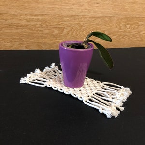 May include: A purple ceramic planter with a small green plant inside, sitting on a white macrame coaster with fringe.