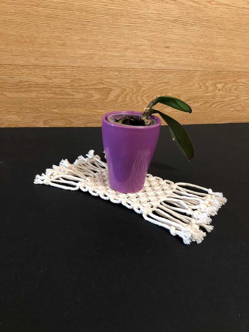 May include: A purple ceramic planter with a small green plant inside, sitting on a white macrame coaster with fringe.