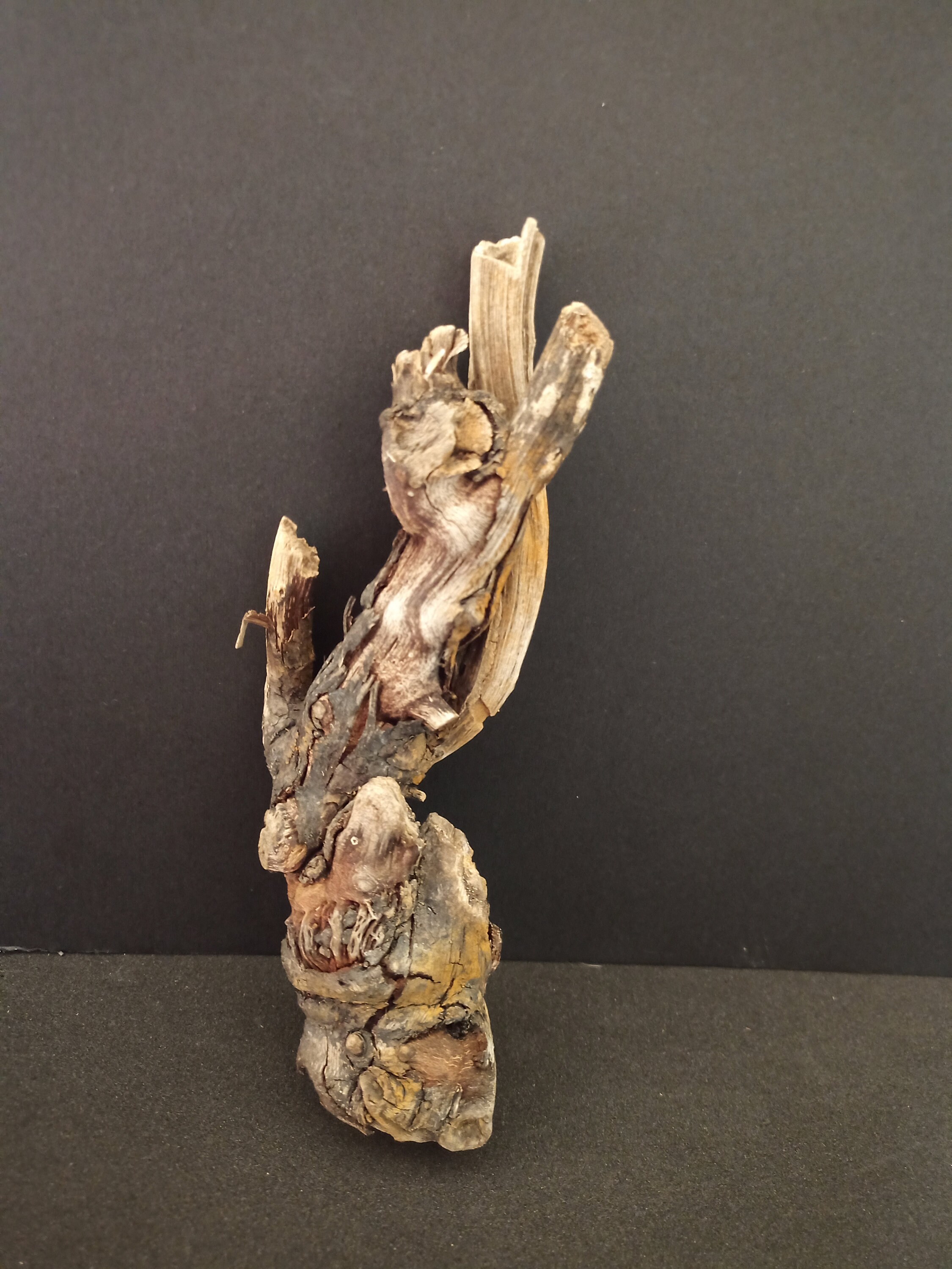 Driftwood Pieces Driftwood Packs Driftwood Decor Driftwood Etsy UK