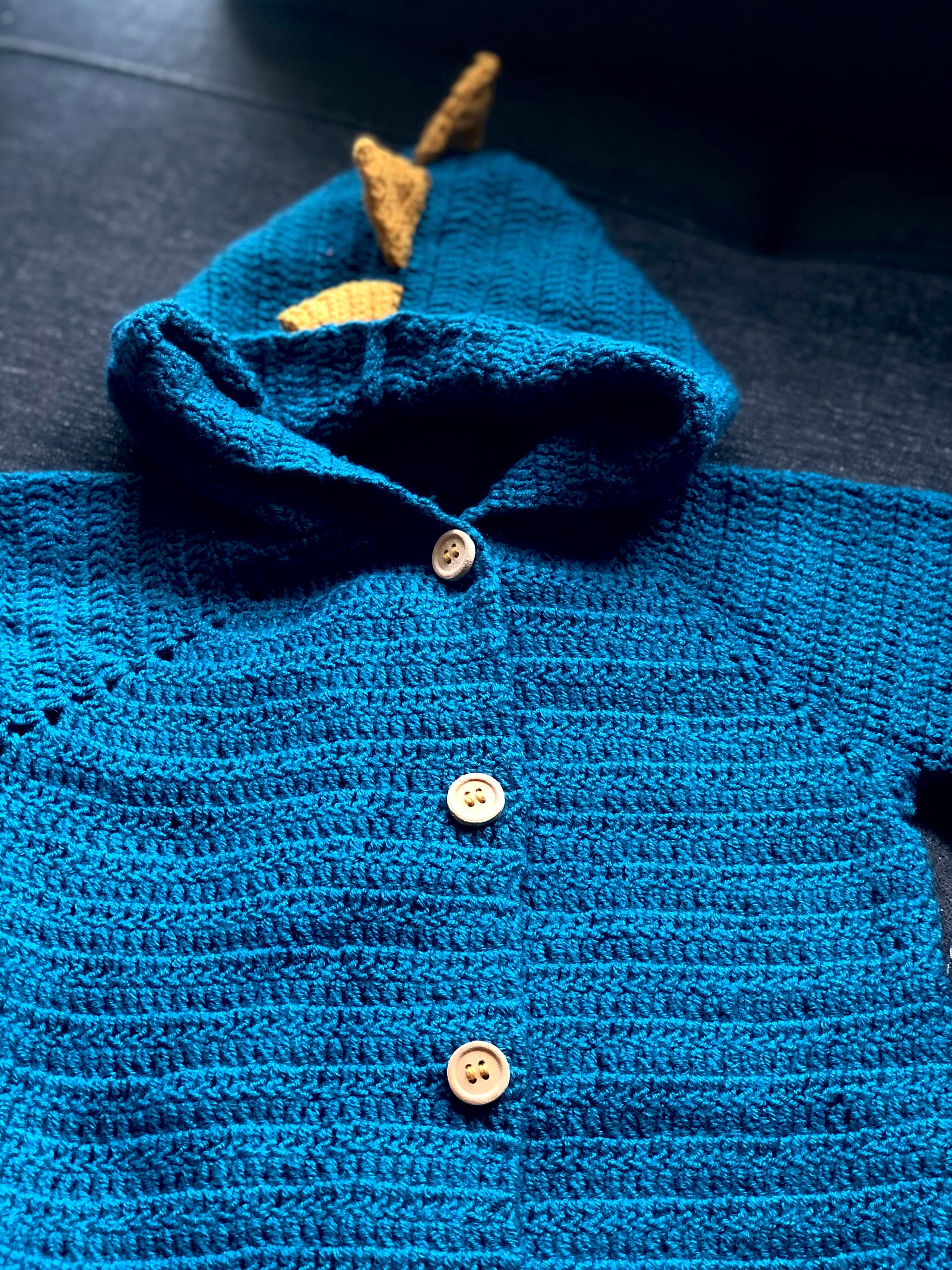 Dinosaur Cardigan Crochet Pattern in English PDF Etsy UK