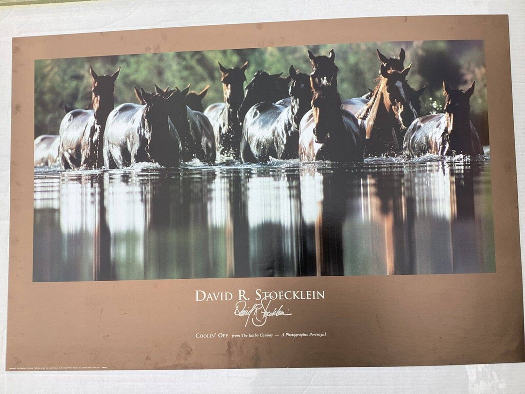 Western Art by David R Stoecklein Coolin off Rach Decor Litho Etsy
