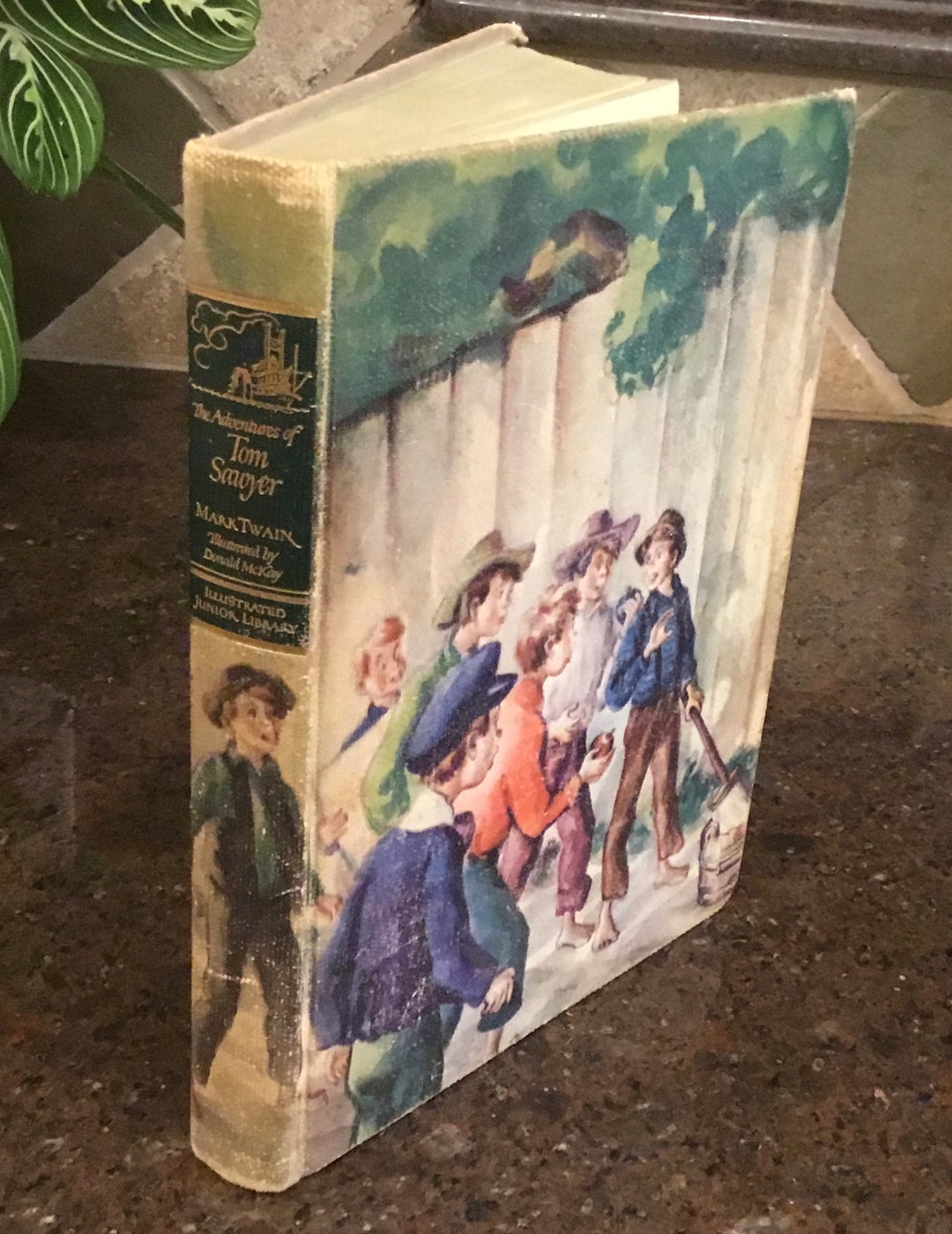 The Adventures of Tom Sawyer by Mark Twain - Illustrated by Donald ...