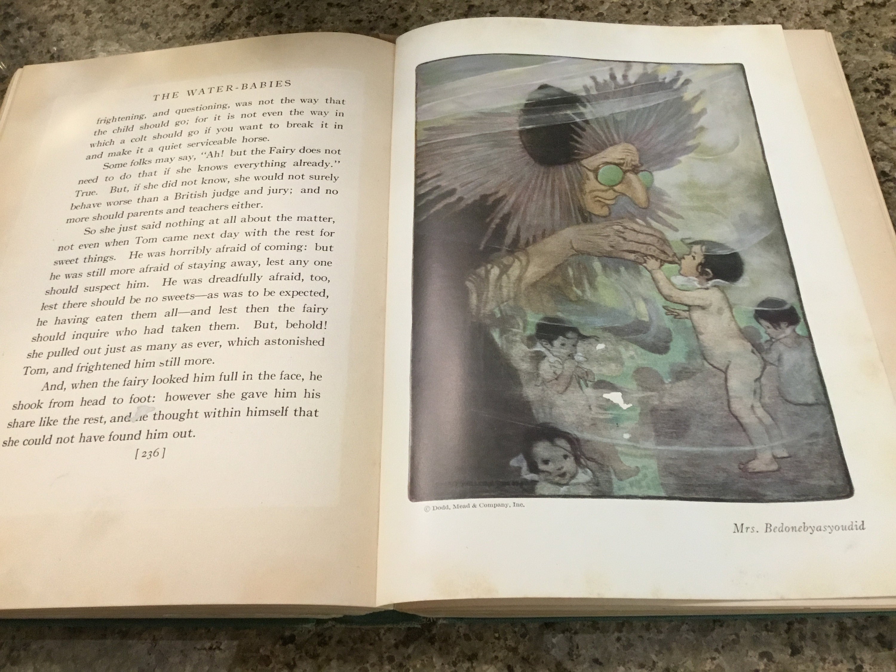 Antique Book - the Water Babies by Charles Kingsley A Fairy Tale