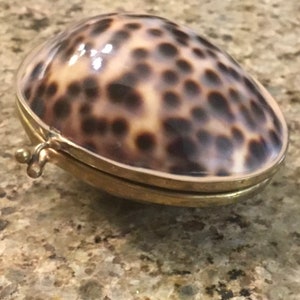 Vintage Tiger Cowrie Shell Pill Trinket box