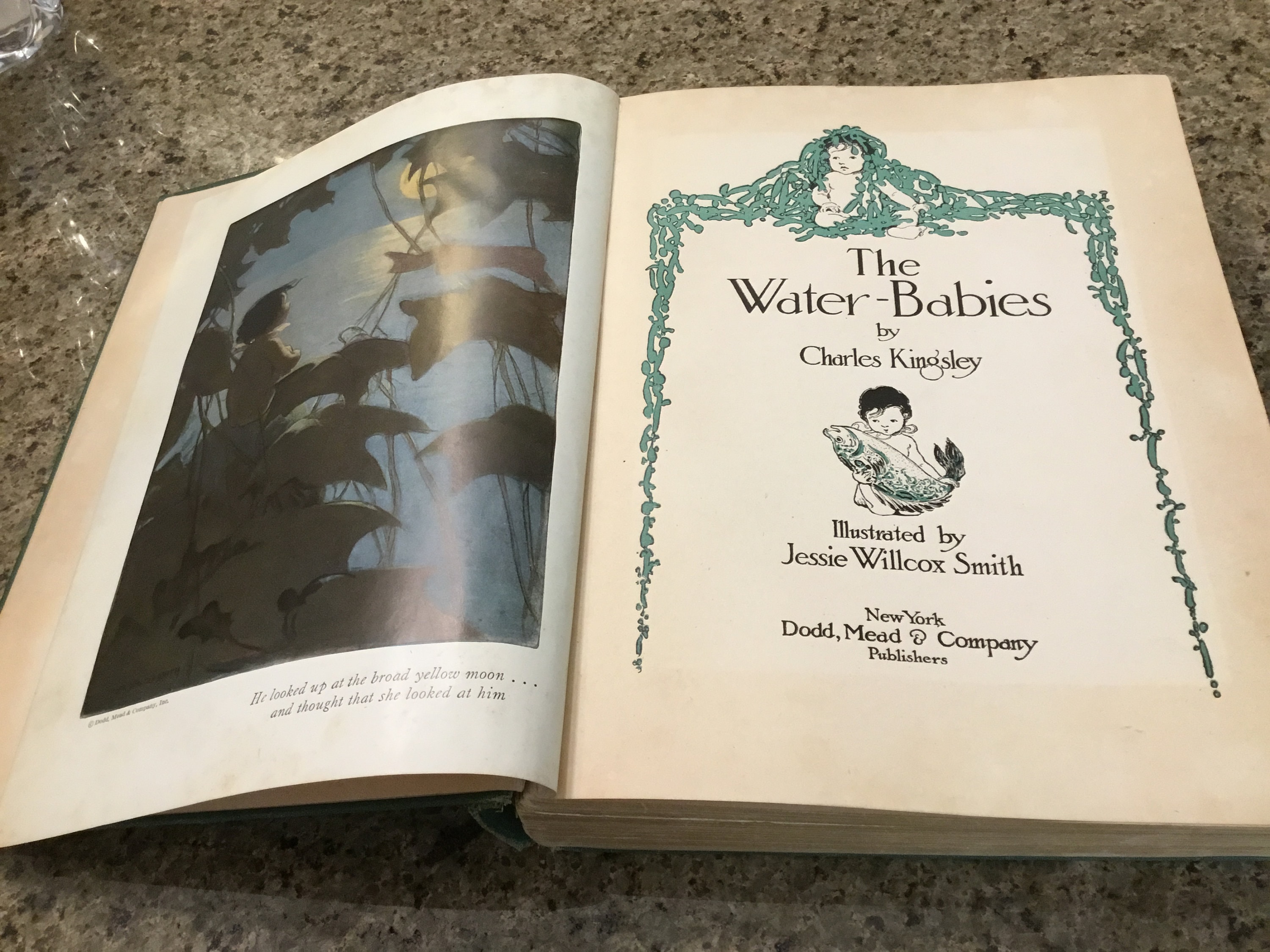 Antique Book - the Water Babies by Charles Kingsley A Fairy Tale