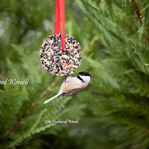 Mini Birdseed Wreaths – Handmade Bird Treats for Year-Round Feeding | Wildlife Gift | Garden Decor | Backyard Bird Feeder