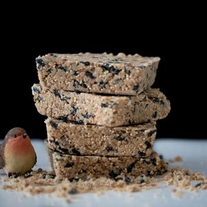 May include: A stack of four rectangular birdseed blocks with visible seeds, next to a small figurine of a robin. The birdseed blocks are light brown with black seeds. The figurine has a red breast and brown wings. The background is black.