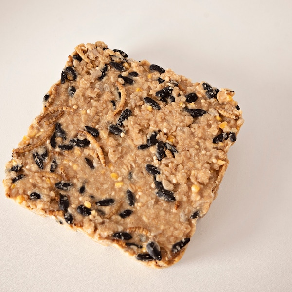 Silicone Mold for Suet Cakes Etsy