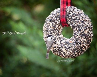 Attract birds with a Birdseed Wreath!  Great for year round feeding! Plus free shipping!