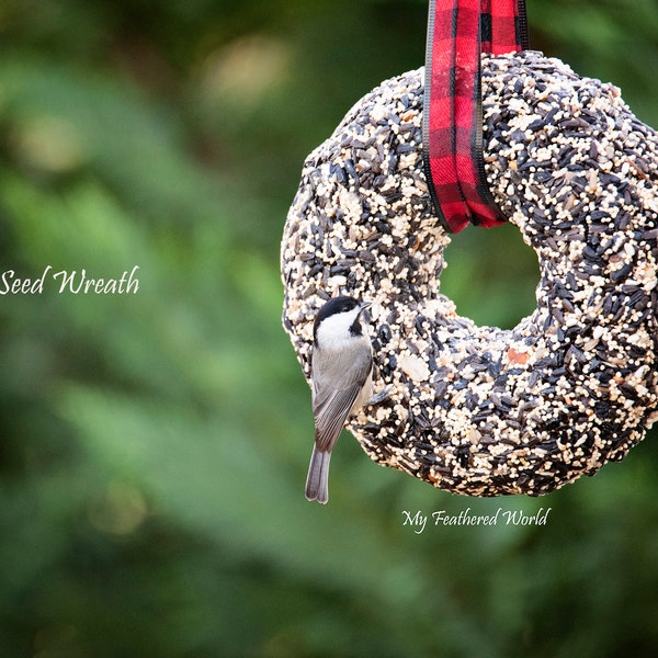 Attract birds with a Birdseed Wreath!  Great for year round feeding! Plus free shipping!