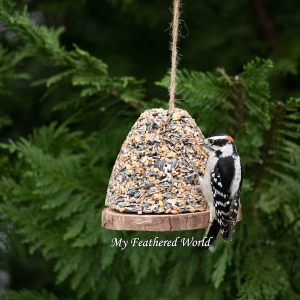 Birdseed Bell! Comes with a wooden base and string.  Great for year-round feeding! Attract birds with a Birdseed Bell.  Plus free shipping!